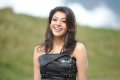 Kajal Agarwal Hot Stills