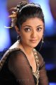 Kajal Agarwal Hot Stills