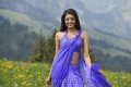 Kajal Agarwal Hot Stills