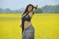 Kajal Agarwal Hot Stills