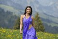 Kajal Agarwal Hot Stills