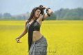 Kajal Agarwal Hot Stills