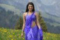 Kajal Agarwal Hot Stills