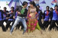 Tapasee Pannu Ravi Teja Veera Movie New Pics