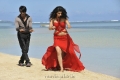 Tapasee Pannu Ravi Teja Veera Movie New Pics