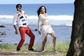 Tapasee Pannu Ravi Teja Veera Movie New Pics