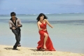 Tapasee Pannu Ravi Teja Veera Movie New Pics