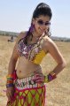 Veera Tapsee Hot Pics