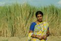 Actress Shiny in Veeraiyan Movie Stills