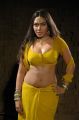 Hot Item Girl Risha in Veeran Muthurakku Movie Stills