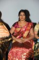 Veerangam Audio Launch Pictures