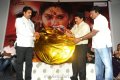 Veerangam Audio Launch Pictures