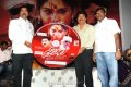 Veerangam Audio Launch Pictures