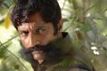 Actor Arjun in Veerappan Telugu Movie Stills