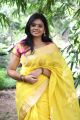 Actress Amirtha @ Veerapuram 220 Audio Launch Photos