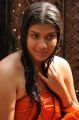 Actress Saini in Veerayan Tamil Movie Stills