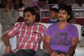 Veeri Veeri Gummadi Pandu Audio Launch Stills