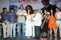 Veerudokkade Audio Launch Stills