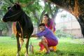 Vikram Prabhu, Sri Divya in Vellaikara Durai Movie New Stills