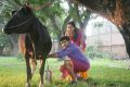 Vikram Prabhu, Sri Divya in Vellaikara Durai Movie Photos