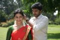 Sri Divya, Vikram Prabhu in Vellaikara Durai Movie Photos