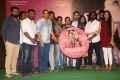 Vellipomakey Movie Audio Launch Photos