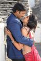 Gopichand, Deeksha Seth in Vengai Puli Movie Hot Stills