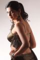 Actress Deeksha Seth Hot in Vengai Puli Movie Stills