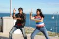 Gopichand, Deeksha Seth in Vengai Puli Movie Hot Stills