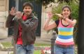 Gopichand, Deeksha Seth in Vengai Puli Tamil Movie Stills