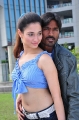 Tamanna Hot with Dhanush Vengai Movie Stills