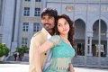 Dhanush Tamanna Vengai Tamil Movie Images