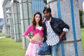 Tamanna Hot with Dhanush Vengai Movie Stills