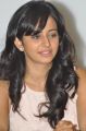 Actress Rakul Preet Singh @ Venkatadri Express Movie Success Meet Stills