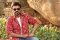Actor Venkatesh Images @ F2 Fun and Frustration Interview