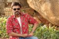 Actor Venkatesh Images @ F2 Fun and Frustration Interview