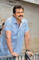 Actor Venkatesh Stills in Seethamma Vakitlo Sirimalle Chettu