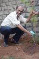 Actor Venkatesh Participates in Haritha Haram Program Photos