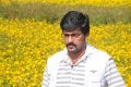 Actor Vidharth in Venmegam Tamil Movie Stills