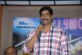 Vennela 1 and Half Platinum Disc Function Stills