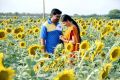 Mirchi Senthil, Vijayalakshmi in Vennila Veedu Movie Photos