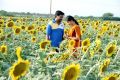 Mirchi Senthil, Vijayalakshmi in Vennila Veedu Movie Photos