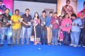 Veta Audio Launch Function Photos