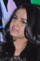 Actress Jasmin @ Veta Movie Platinum Disc Function Stills