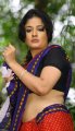 Kiran Rathod Hot in Saree @ Vetade Mrugam Movie Stills