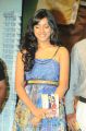 Actress at Vetadu Ventadu Audio Launch Function Photos