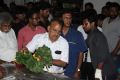 Veteran Director Balu Mahendra Passes Away Stills