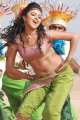 Amala Paul Hot in Vettai Movie Pictures