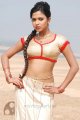 Amala Paul Hot Spicy Pics in Vettai