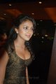 Amala Paul Hot in Vettai Premiere Show